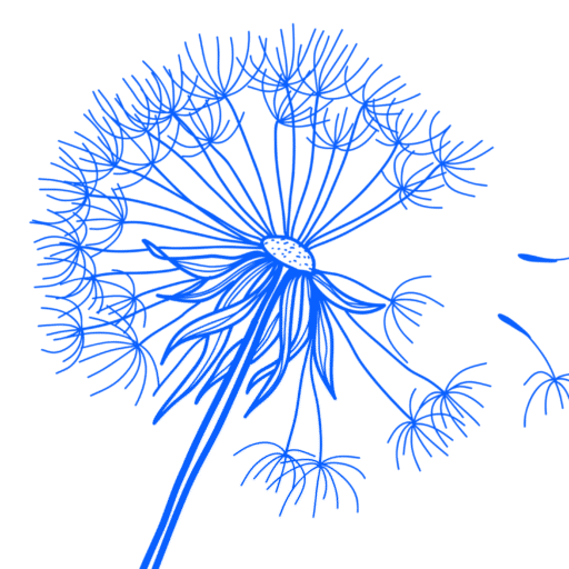 The Blue Dandelion Logo for Omni Health NP primary care, weight loss, gut health, body composition, hormones, anemia, cancer, chemotherapy side effect management, pain management, digital health products.